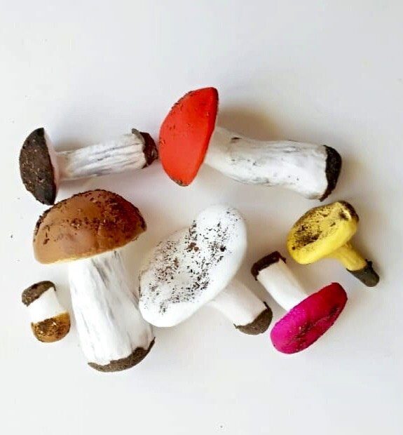 #papiermache, макет белого гриба для урока биологии, VO! | Грибы, Шампиньоны